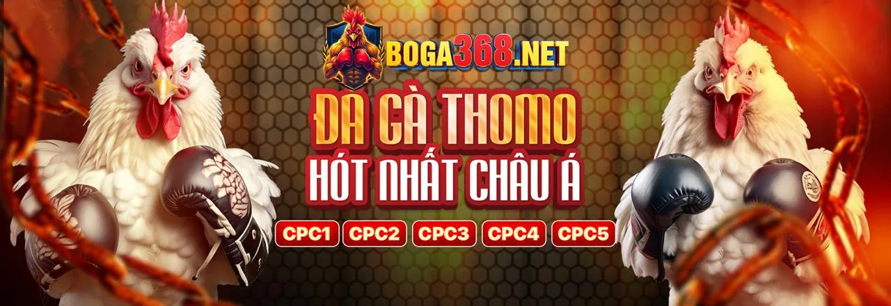 Khuyến Mãi Gamang66 2026 - Nền Tảng Giải Trí Trực Tuyến Hàng Đầu